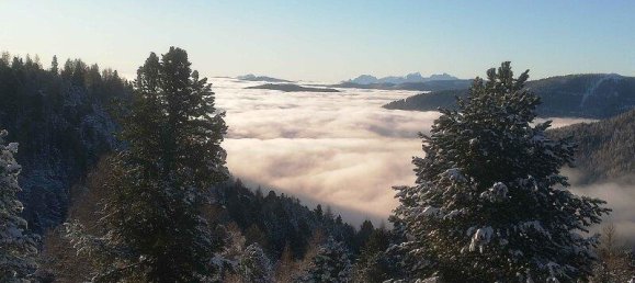 Коммерческая недвижимость 146м² в Райхенау, Австрия № 142623 4