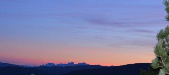 Коммерческая недвижимость 146м² в Райхенау, Австрия № 142623 3