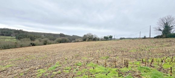 Casa de 4 dormitorios en Frades, Spain No. 130636 2