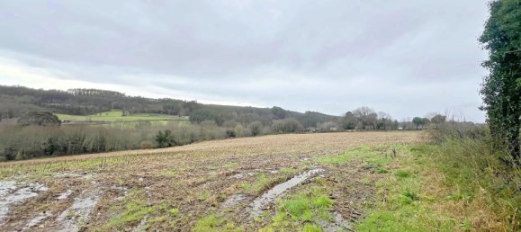 Casa de 4 dormitorios en Frades, Spain No. 130636 4