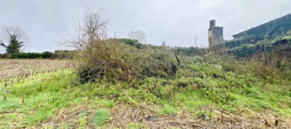 Casa de 4 dormitorios en Frades, Spain No. 130636 25