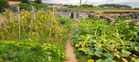 2 غرف نوم منزل في Angra do Heroismo, Portugal رقم 22692 27