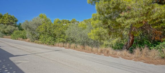 Grundstück in Benissa, Spain, Nr. 8735 15