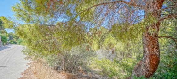 Grundstück in Benissa, Spain, Nr. 8735 13