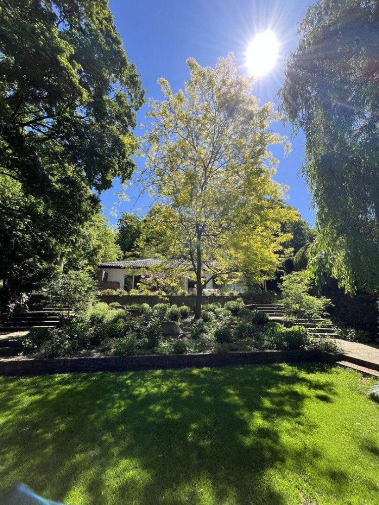 3 chambres Villa à Rhein-Sieg, Germany No. 335903