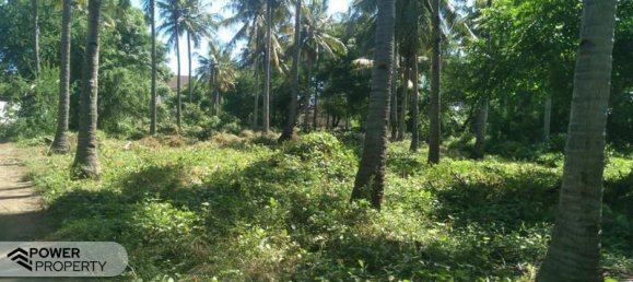 827m² Land in Gili Trawangan, Indonesia No. 4308 3