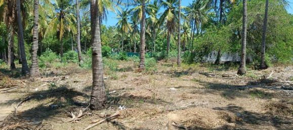 827m² Land in Gili Trawangan, Indonesia No. 4308 5