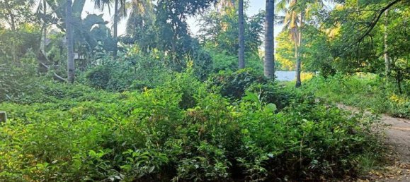 827m² Land in Gili Trawangan, Indonesia No. 4308 6