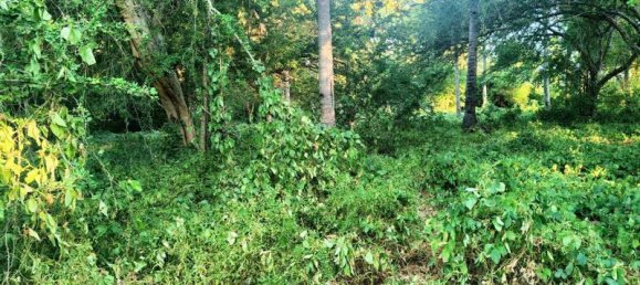 827m² Land in Gili Trawangan, Indonesia No. 4308 9