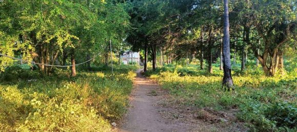 827m² Land in Gili Trawangan, Indonesia No. 4308 7