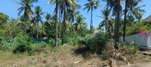 827m² Land in Gili Trawangan, Indonesia No. 4308 10