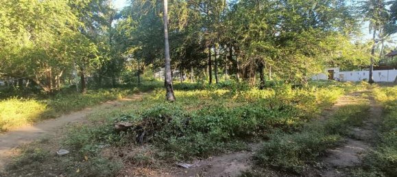 827m² Land in Gili Trawangan, Indonesia No. 4308 8