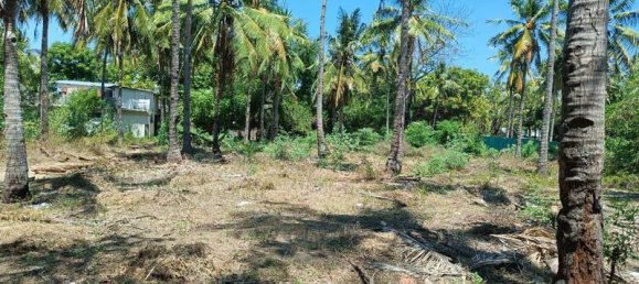 827m² Land in Gili Trawangan, Indonesia No. 4308 11