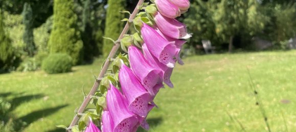 Bungalow T4 em Segeberg, Germany N.º 290096 5