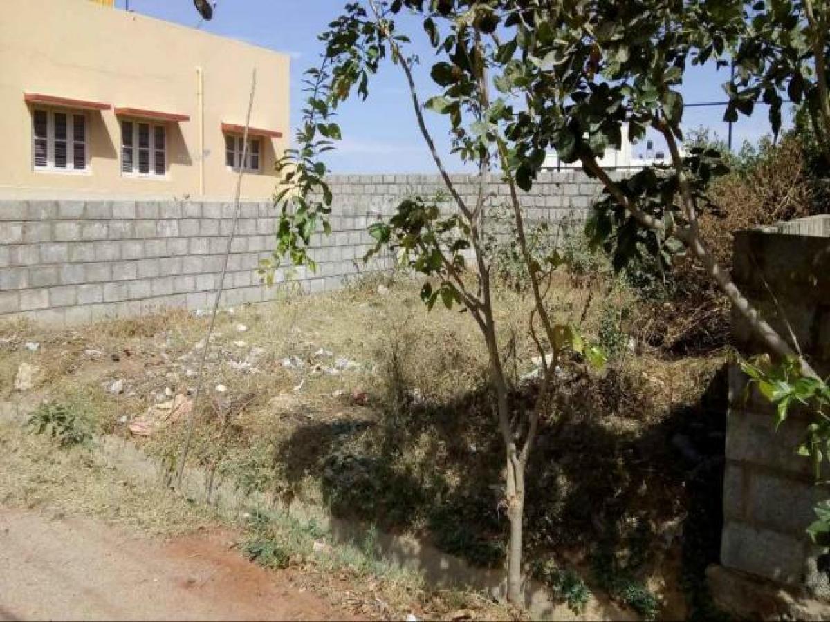 Land in Bangalore, India No. 31007