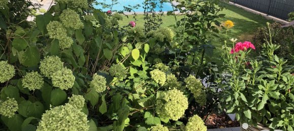 Casa de 3 dormitorios en Grundviller, France No. 225447 4