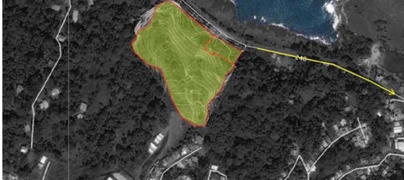 Земельный участок в Лимон, Коста-Рика № 1553 2