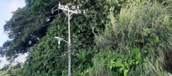 Земельный участок в Лимон, Коста-Рика № 1553 3