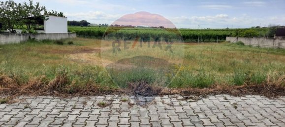 486m² Land in Lardosa, Portugal No. 76602 6