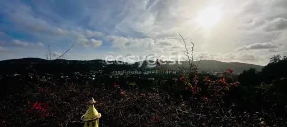 Terrain à Sao Bras de Alportel, Portugal No. 155447 4