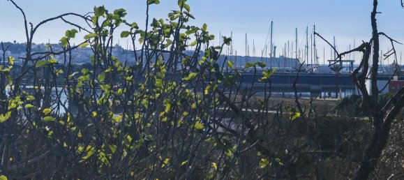 4210m² Land in Portimao, Portugal No. 73274 13