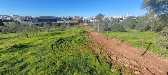 4210m² Land in Portimao, Portugal No. 73274 12