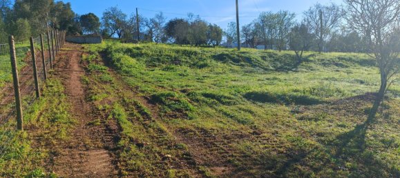 4210m² Land in Portimao, Portugal No. 73274 5