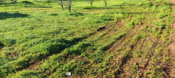 4210m² Land in Portimao, Portugal No. 73274 9