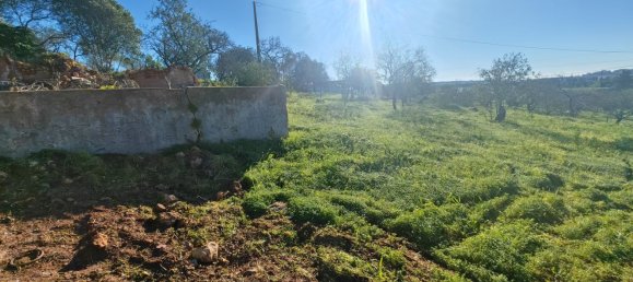 4210m² Land in Portimao, Portugal No. 73274 10