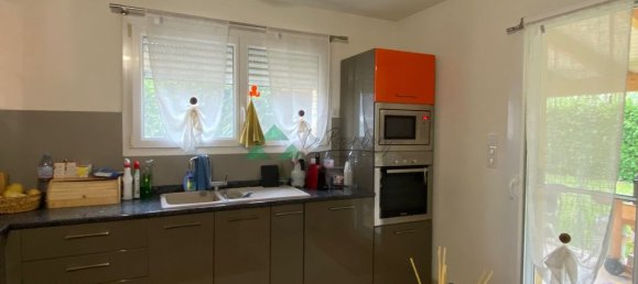 4 bedrooms House in Hegenheim, France No. 219995 3