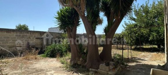 3 bedrooms Apartment in Veglie, Italy No. 331792 3