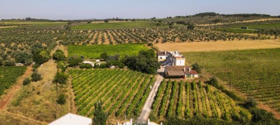 5 غرف نوم منزل في Estremoz, Portugal رقم 123871 36