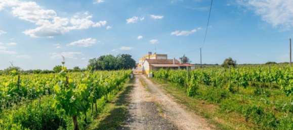 5 غرف نوم منزل في Estremoz, Portugal رقم 123871 27