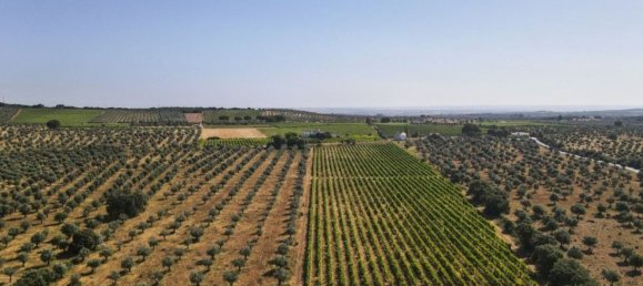 5 غرف نوم منزل في Estremoz, Portugal رقم 123871 39