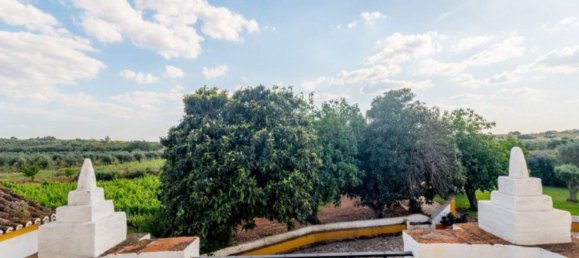 5 غرف نوم منزل في Estremoz, Portugal رقم 123871 24