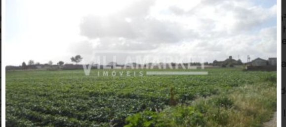 59880m² Land in Montijo, Portugal No. 43554 5