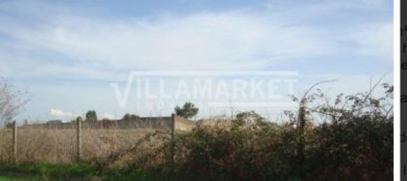 59880m² Land in Montijo, Portugal No. 43554 2