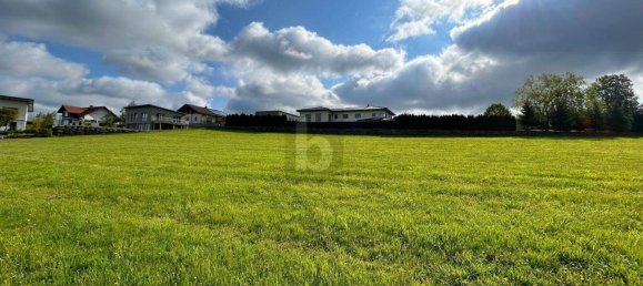 Terreno en Hohnhart, Austria No. 243459 4