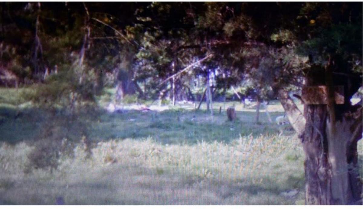 Grundstück in Pilar, Argentina, Nr. 45548