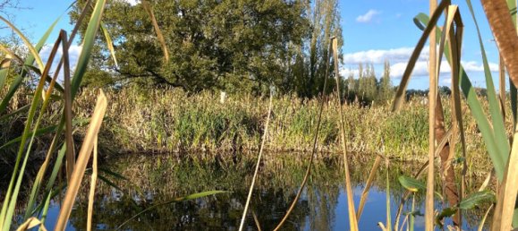 3 bedrooms House in Vitry-aux-Loges, France No. 152558 7