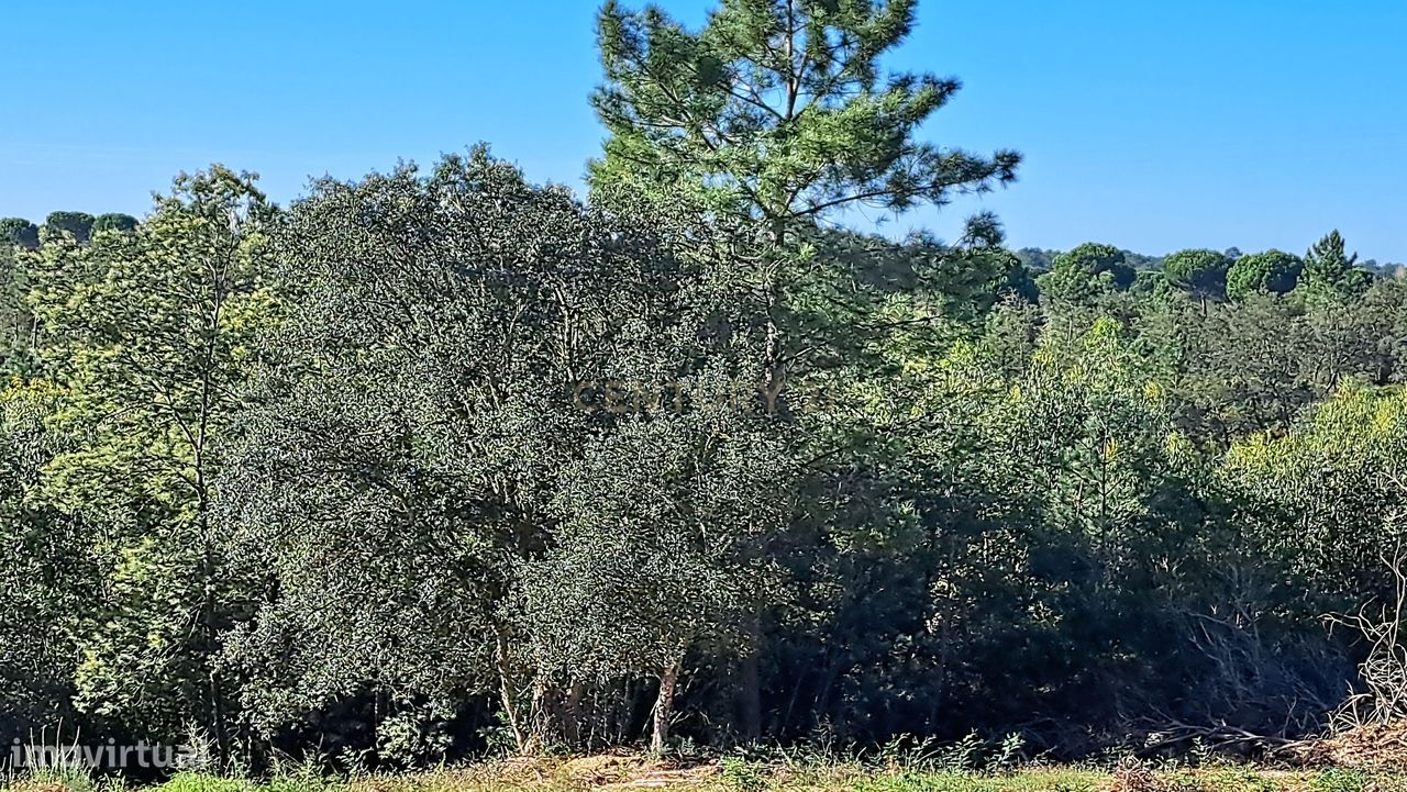 Grundstück in Setubal, Portugal 980m², Nr. 267523