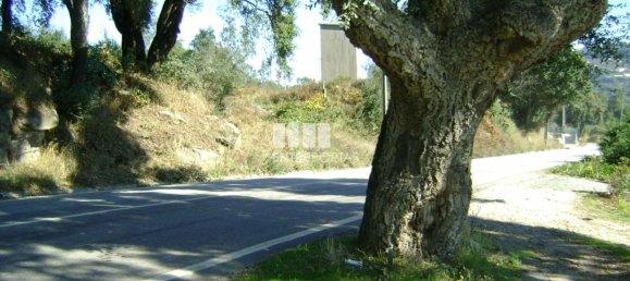 1125m² Land in Marco de Canaveses, Portugal No. 57204 2