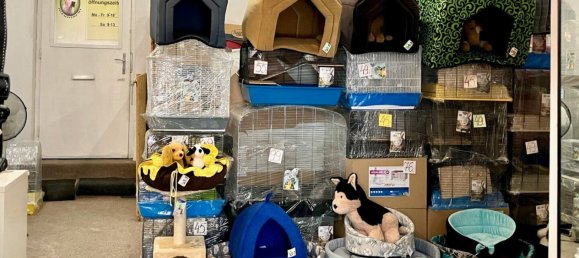 Коммерческая недвижимость 100м² в Вена, Австрия № 247030 3