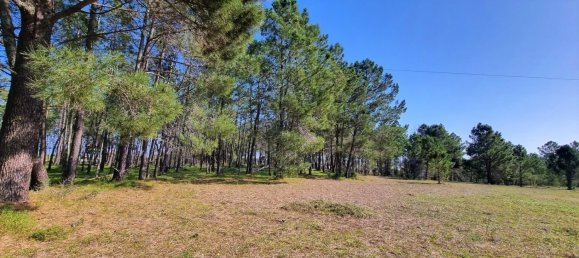 قطعة أرض في Odiaxere, Portugal رقم 128494 5