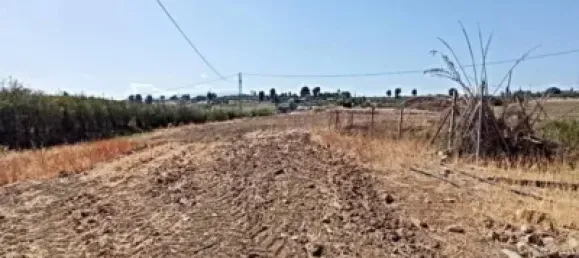 Grundstück in Alhaurin el Grande, Spain 6980m², Nr. 140206 2