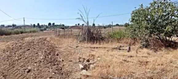 Grundstück in Alhaurin el Grande, Spain 6980m², Nr. 140206 5