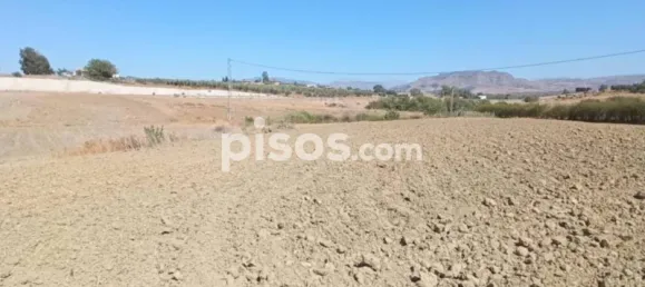 Grundstück in Alhaurin el Grande, Spain 6980m², Nr. 140206 4