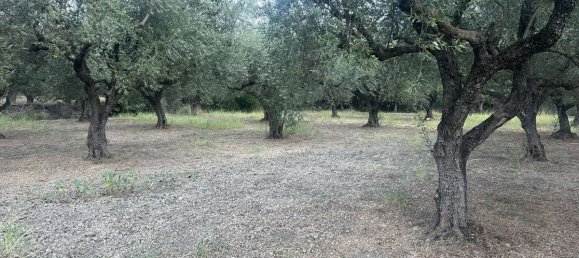  Hotel in Zakynthos, Greece No. 8517 6