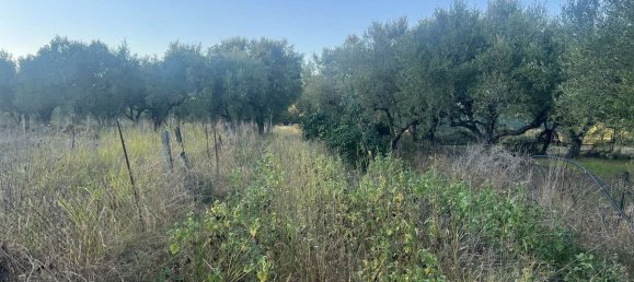  Hotel in Zakynthos, Greece No. 8517 10