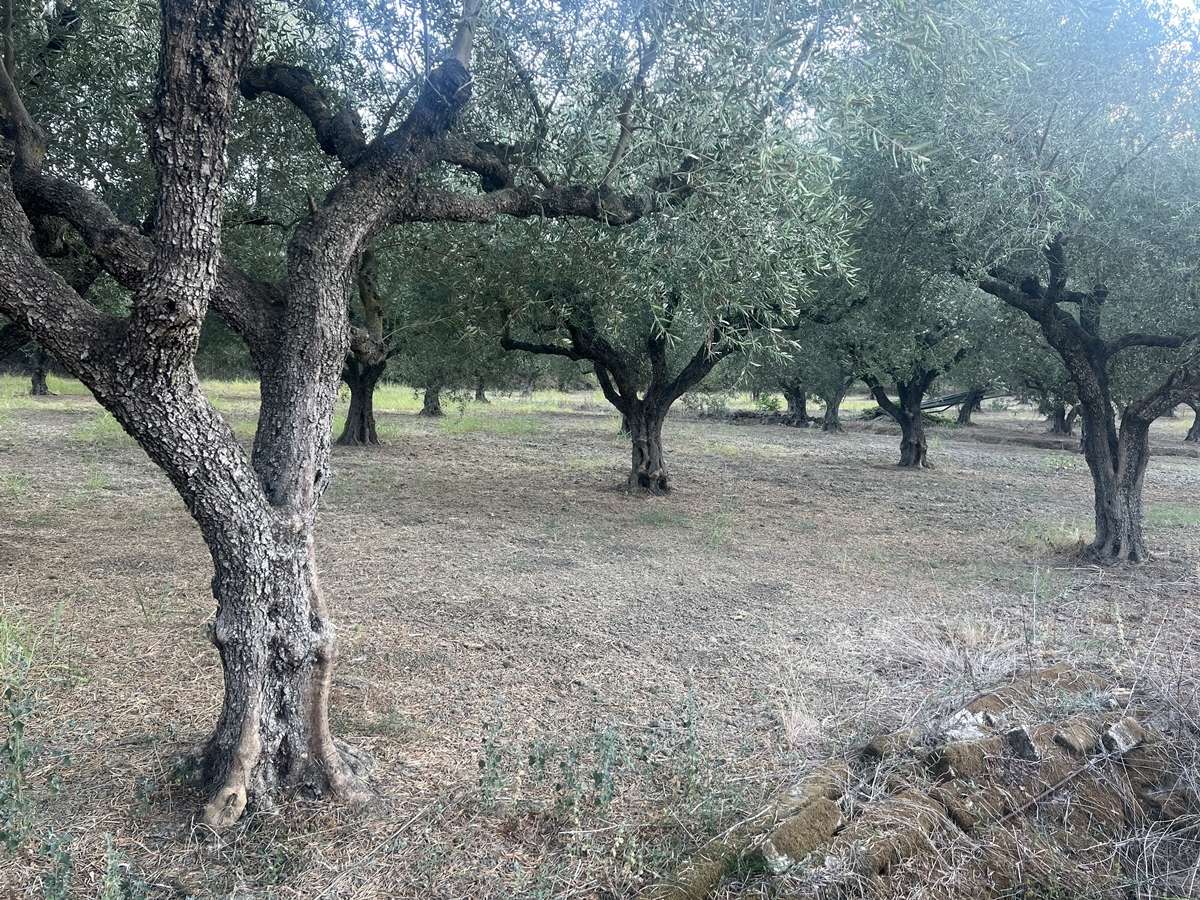  Hotel in Zakynthos, Greece No. 8517